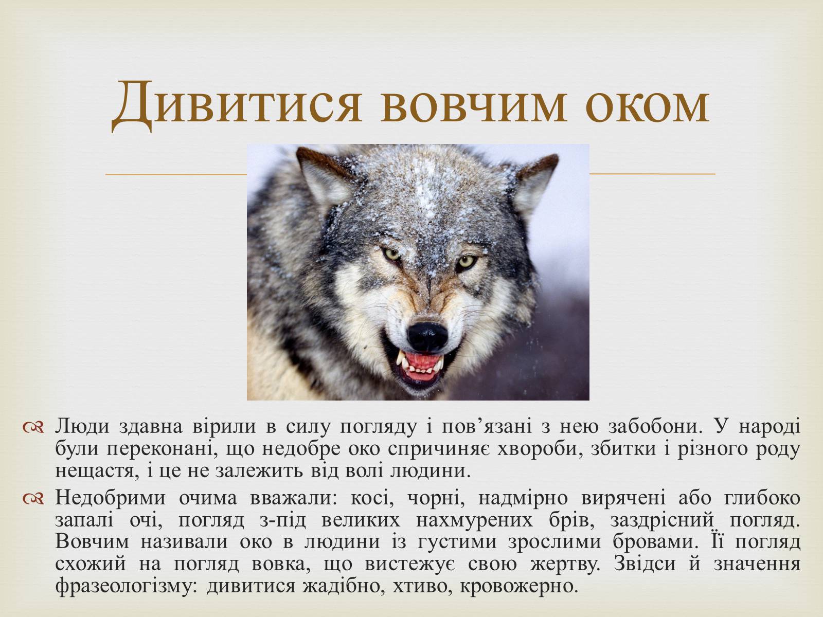 Презентація на тему «Українські народні фразеологізми» - Слайд #9