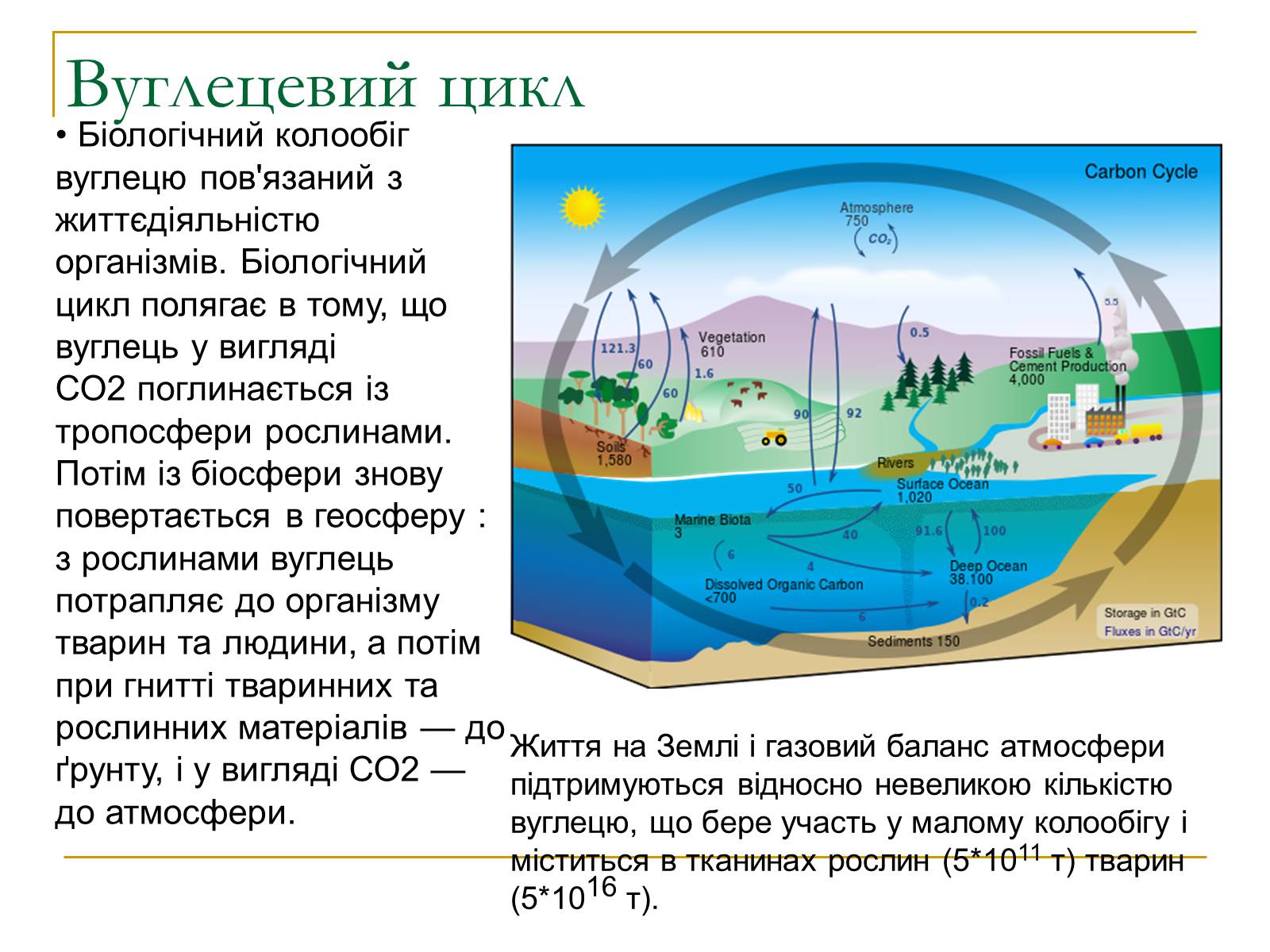 Презентація на тему «Ecological Problems» (варіант 4) - Слайд #7