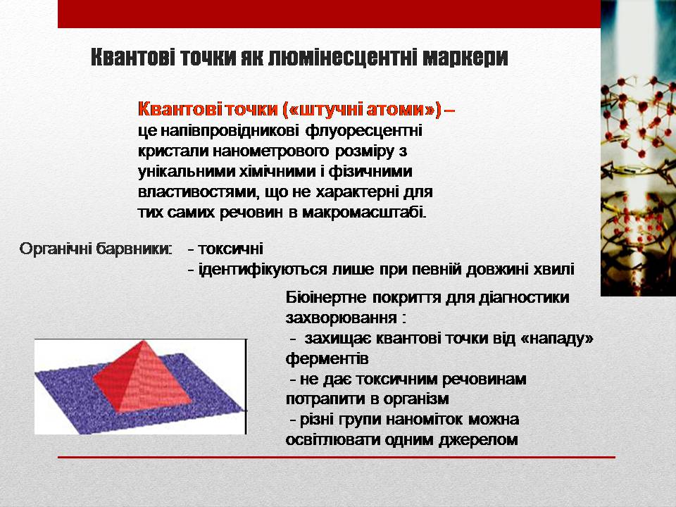 Презентація на тему «Біотехнології і наномедицина» - Слайд #12