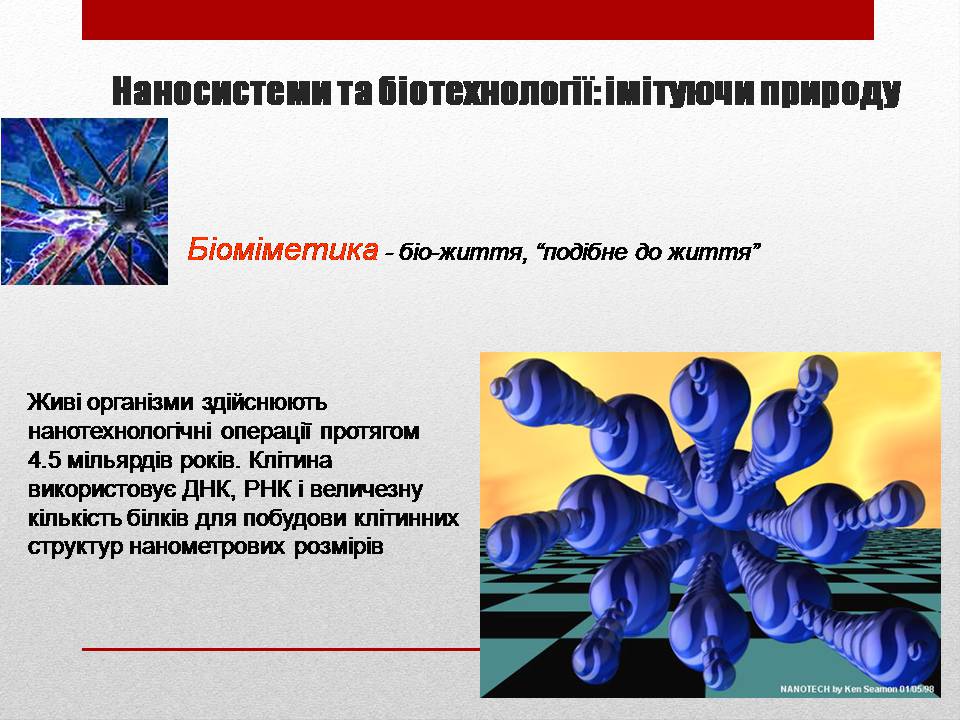 Презентація на тему «Біотехнології і наномедицина» - Слайд #13