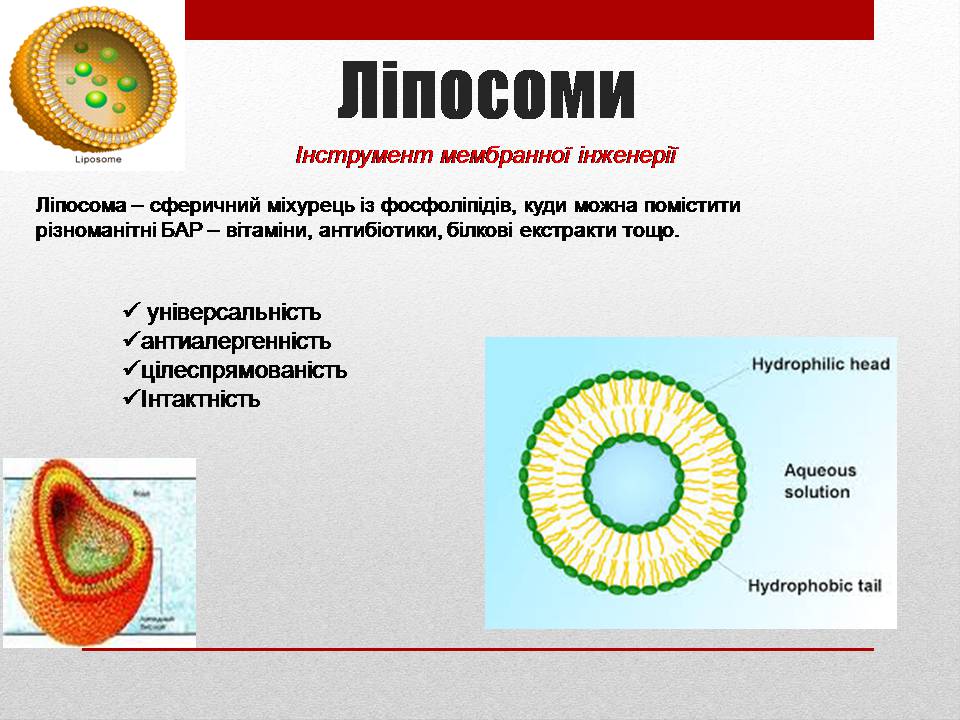 Презентація на тему «Біотехнології і наномедицина» - Слайд #8