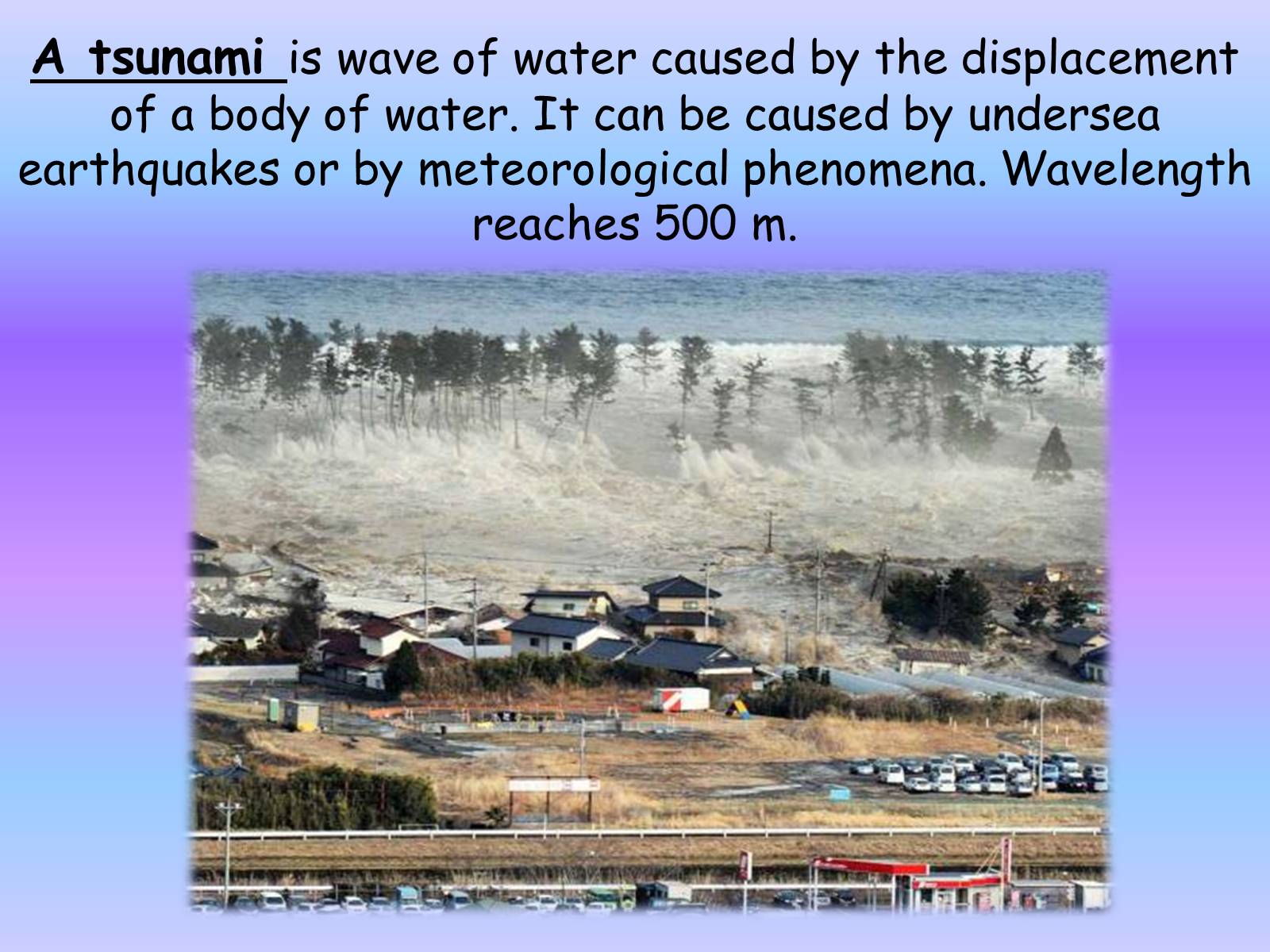 Презентація на тему «The natural disasters» - Слайд #8