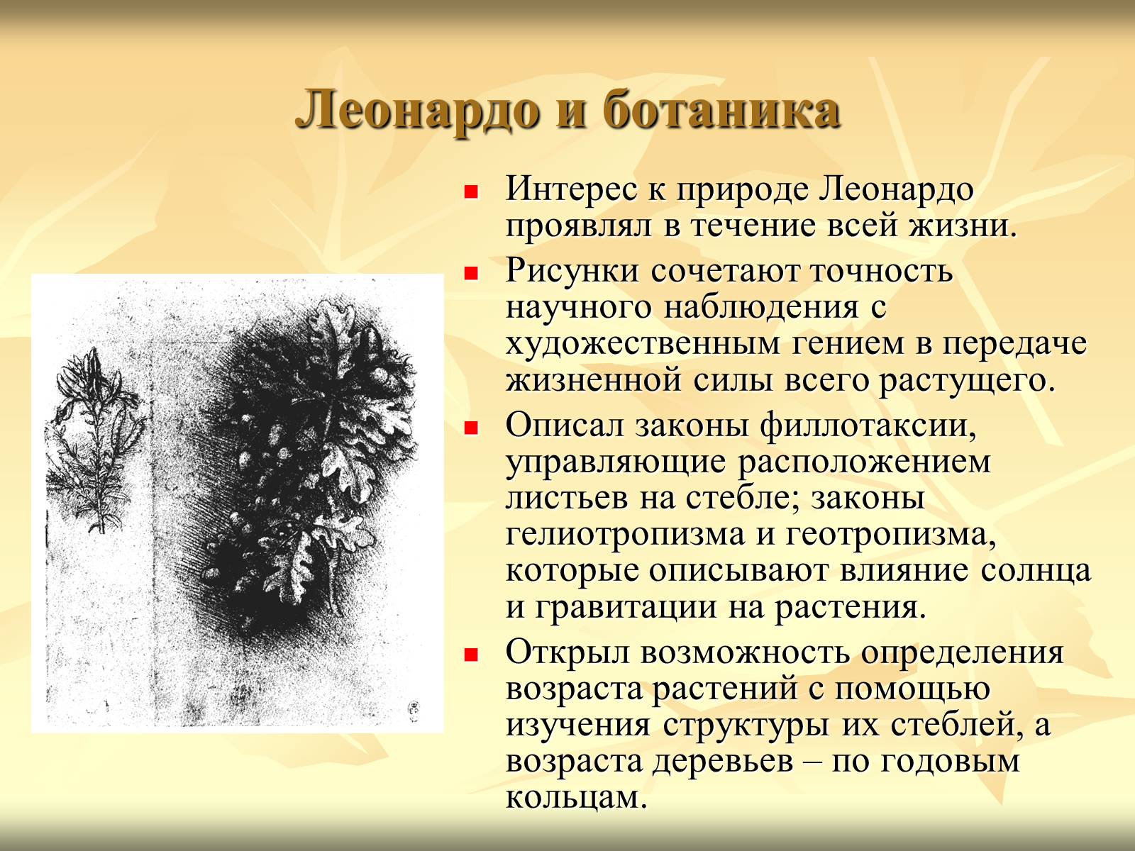Презентація на тему «Леонардо да Вінчі» (варіант 10) - Слайд #6