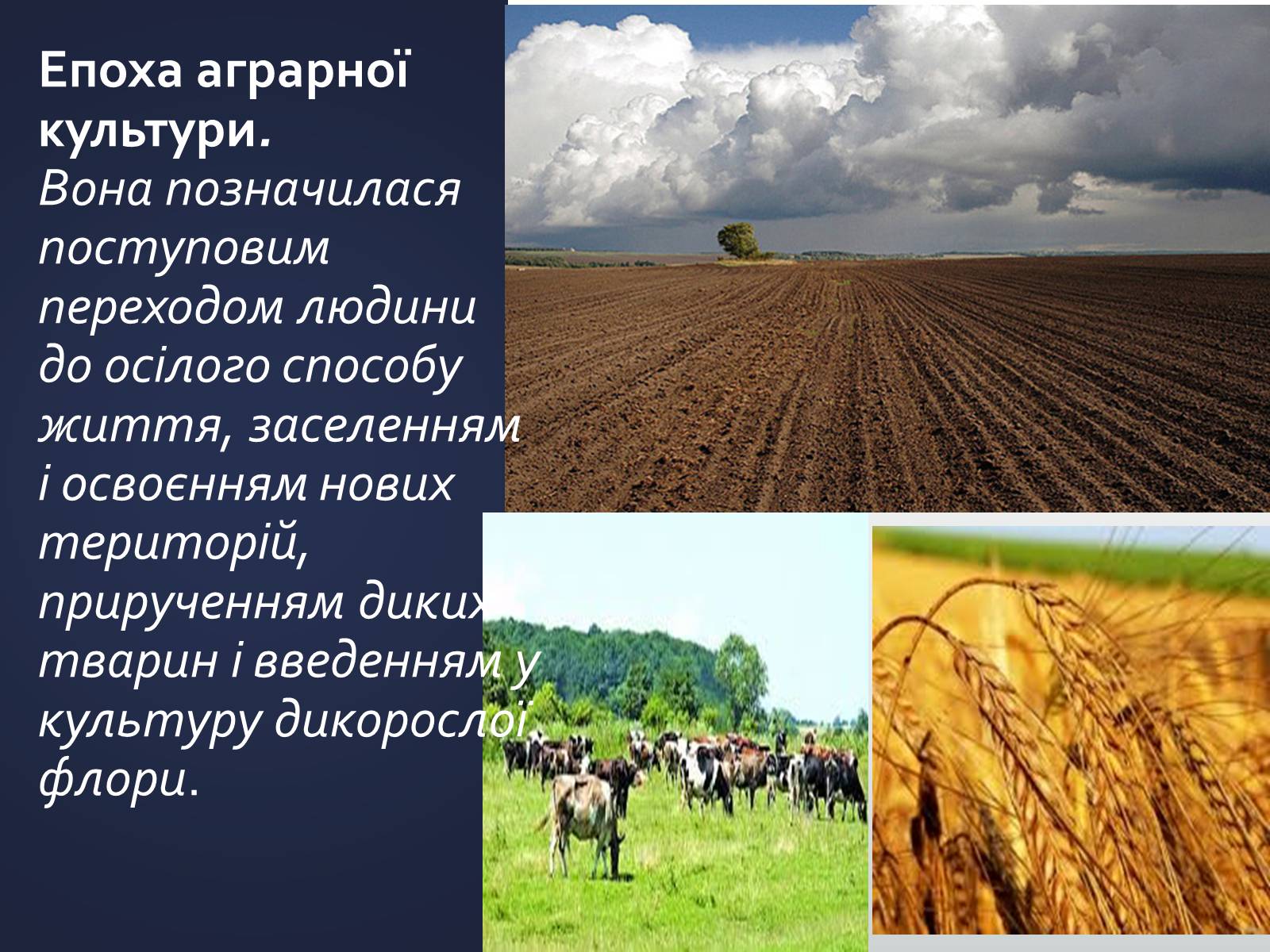 Презентація на тему «Еволюція уявлень про роль і місце природи в житті суспільства» (варіант 1) - Слайд #5