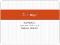 Презентація на тему «Скінхеди» (варіант 2)