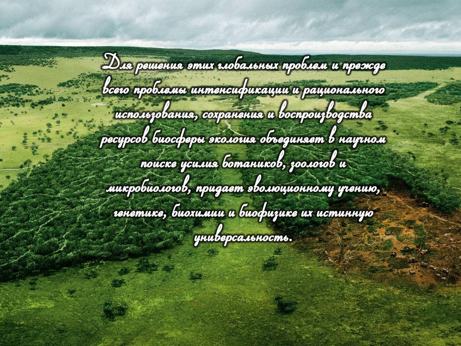 Презентація на тему «Предмет, объект, задачи и методы науки экологии» - Слайд #11