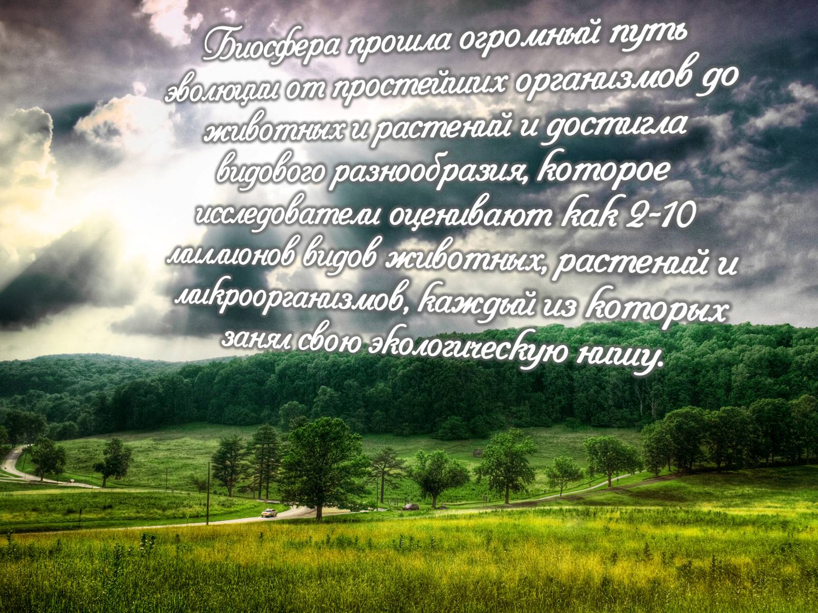 Презентація на тему «Деградация биосферы» - Слайд #11