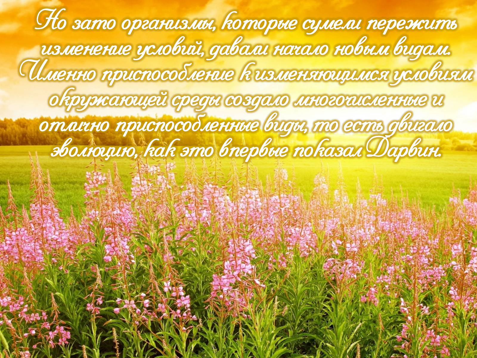 Презентація на тему «Деградация биосферы» - Слайд #14