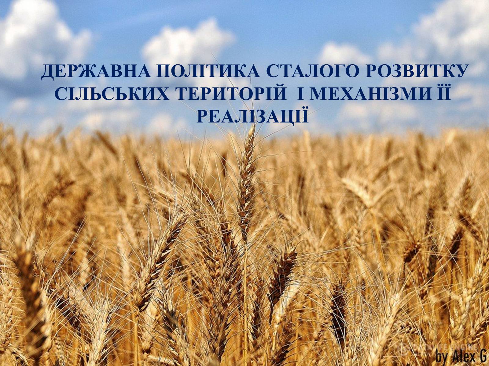 Презентація на тему «Державна політика розвитку сільких теритторій» - Слайд #1