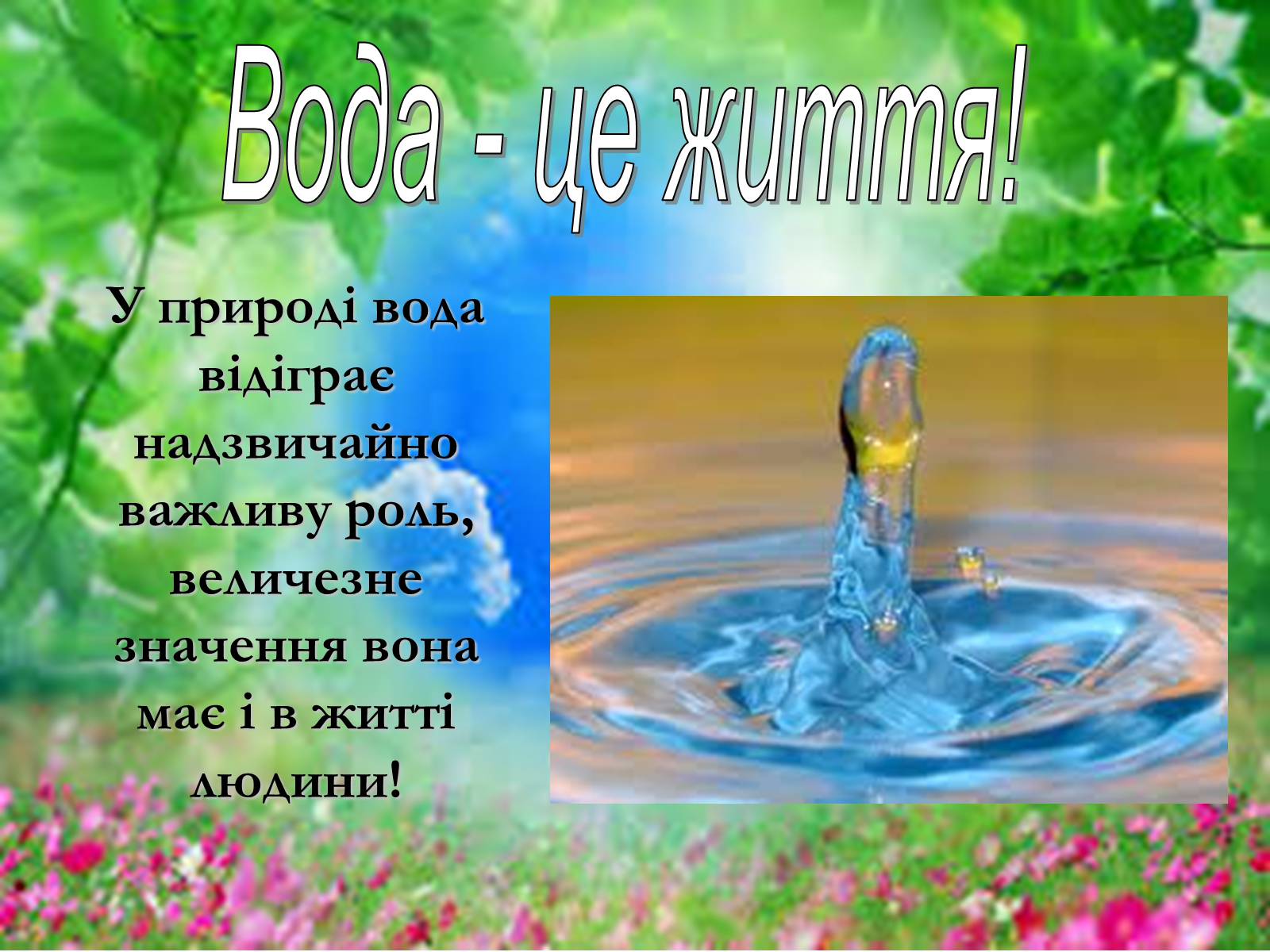 Презентація на тему «Основні поняття еколігії та її забруднення» - Слайд #10