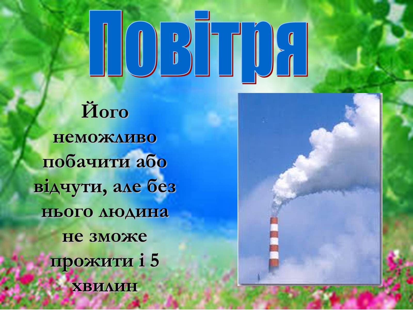 Презентація на тему «Основні поняття еколігії та її забруднення» - Слайд #12