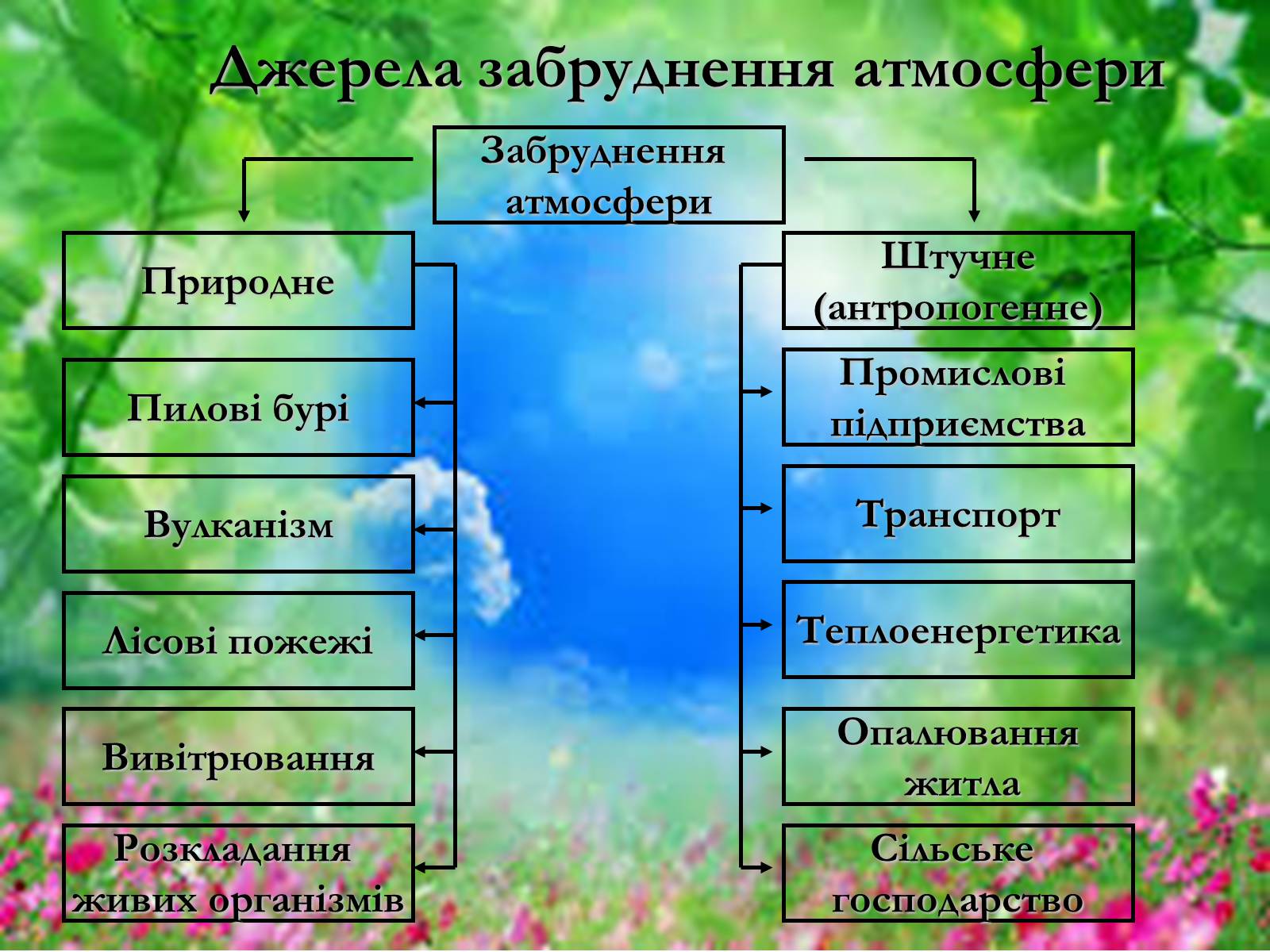 Презентація на тему «Основні поняття еколігії та її забруднення» - Слайд #13