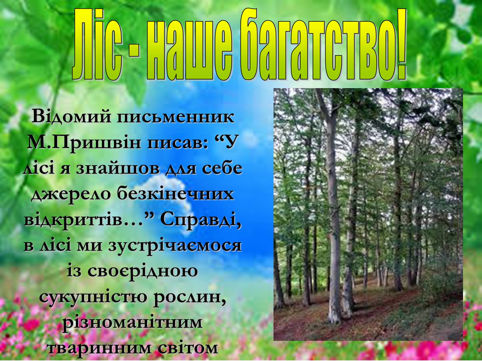 Презентація на тему «Основні поняття еколігії та її забруднення» - Слайд #14