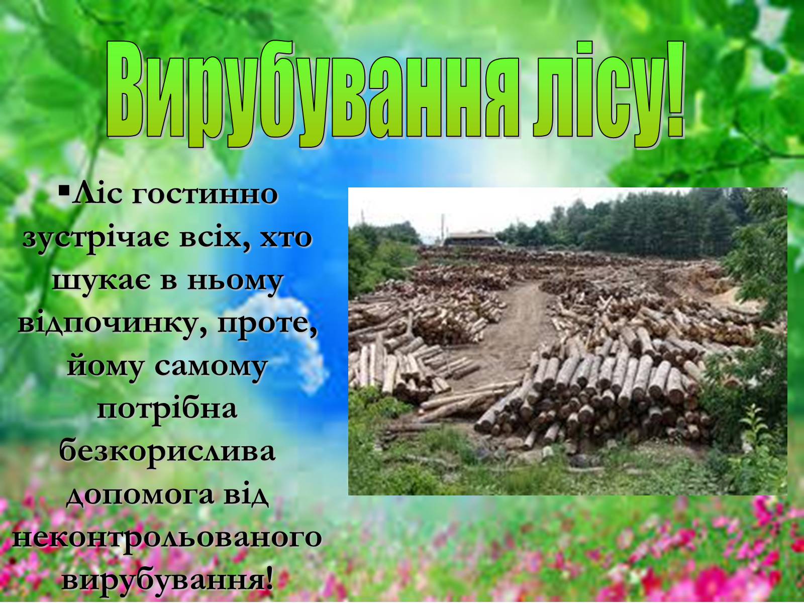 Презентація на тему «Основні поняття еколігії та її забруднення» - Слайд #16