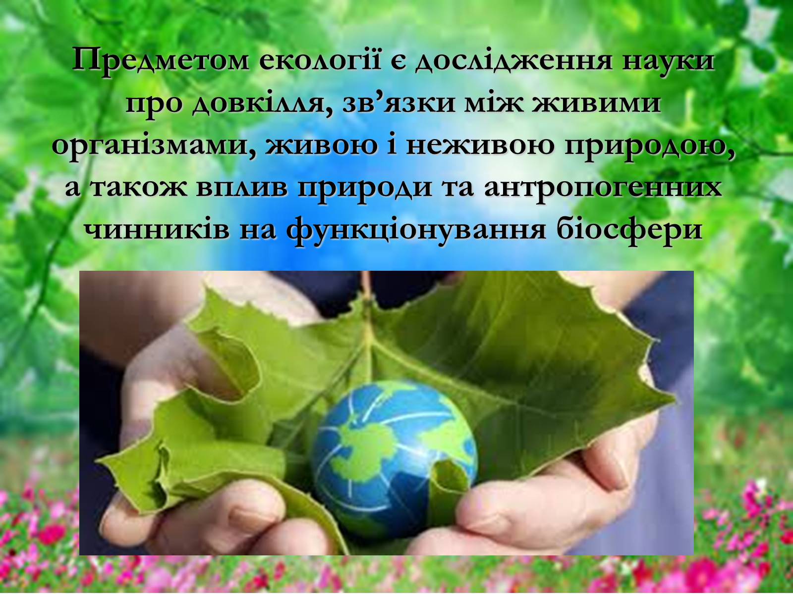 Презентація на тему «Основні поняття еколігії та її забруднення» - Слайд #4