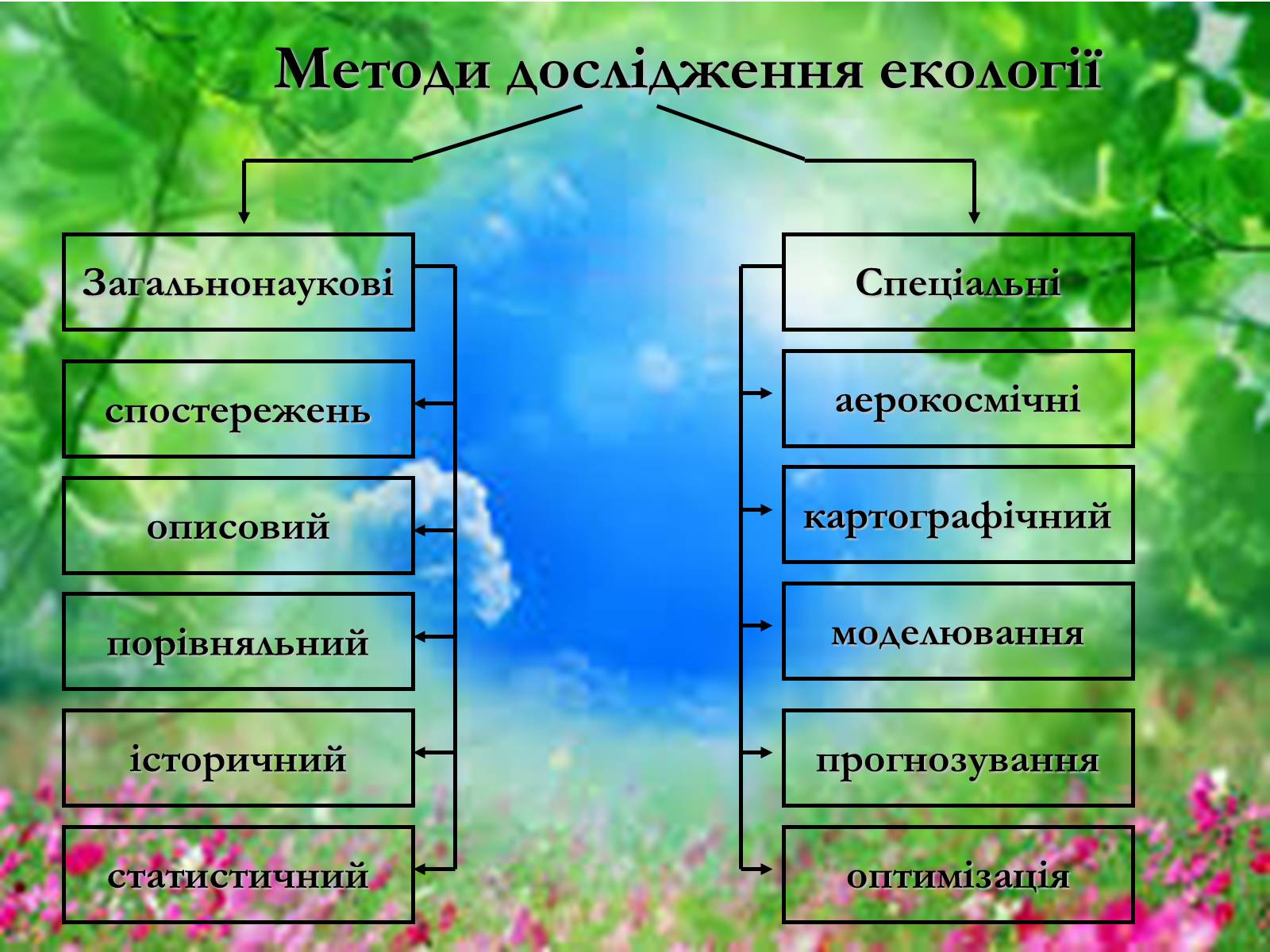 Презентація на тему «Основні поняття еколігії та її забруднення» - Слайд #7