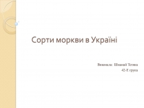 Презентація на тему «Сорти моркви в Україні»