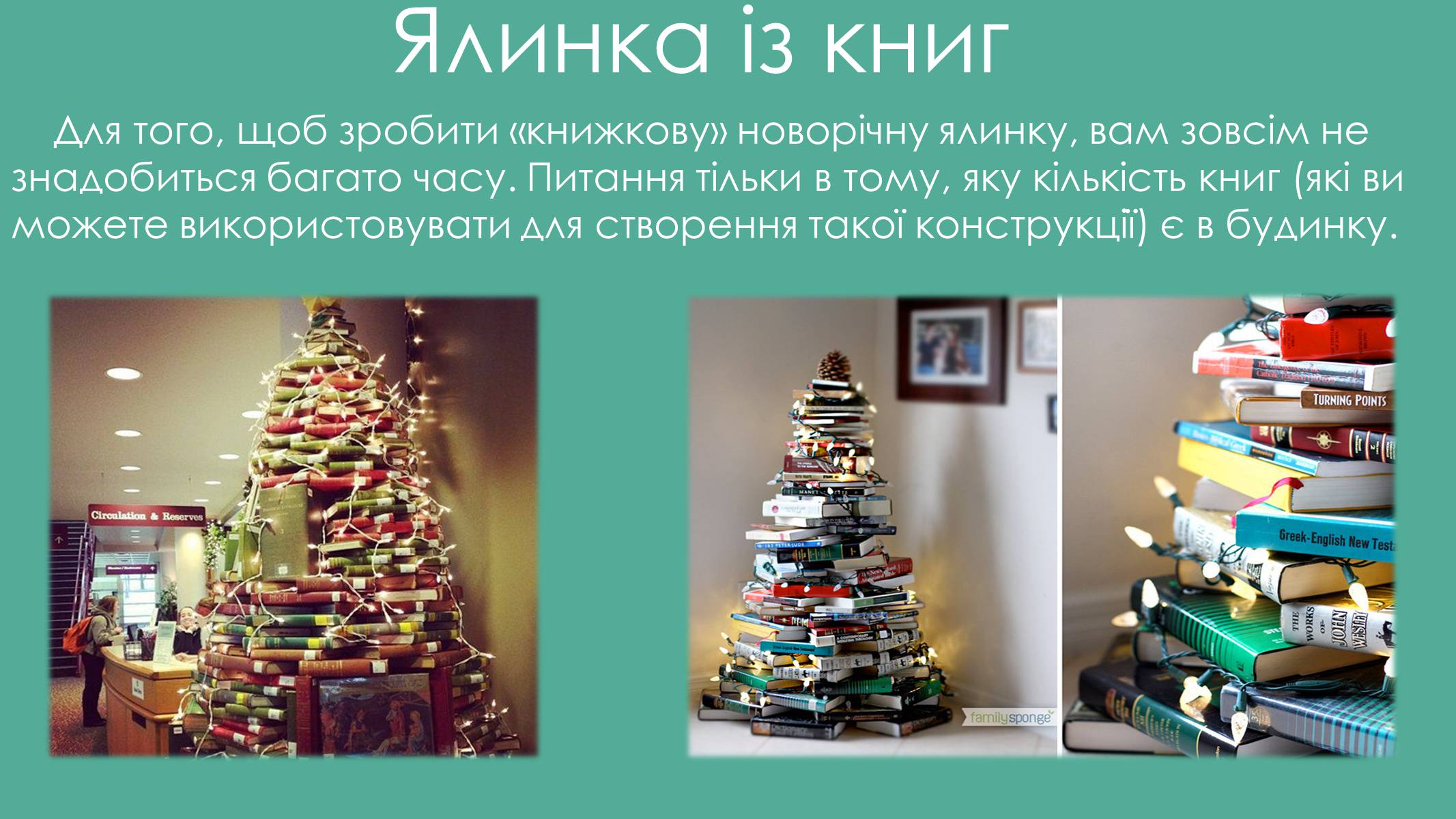 Презентація на тему «Екологічні альтернативні варіанти живої ялинки» - Слайд #8