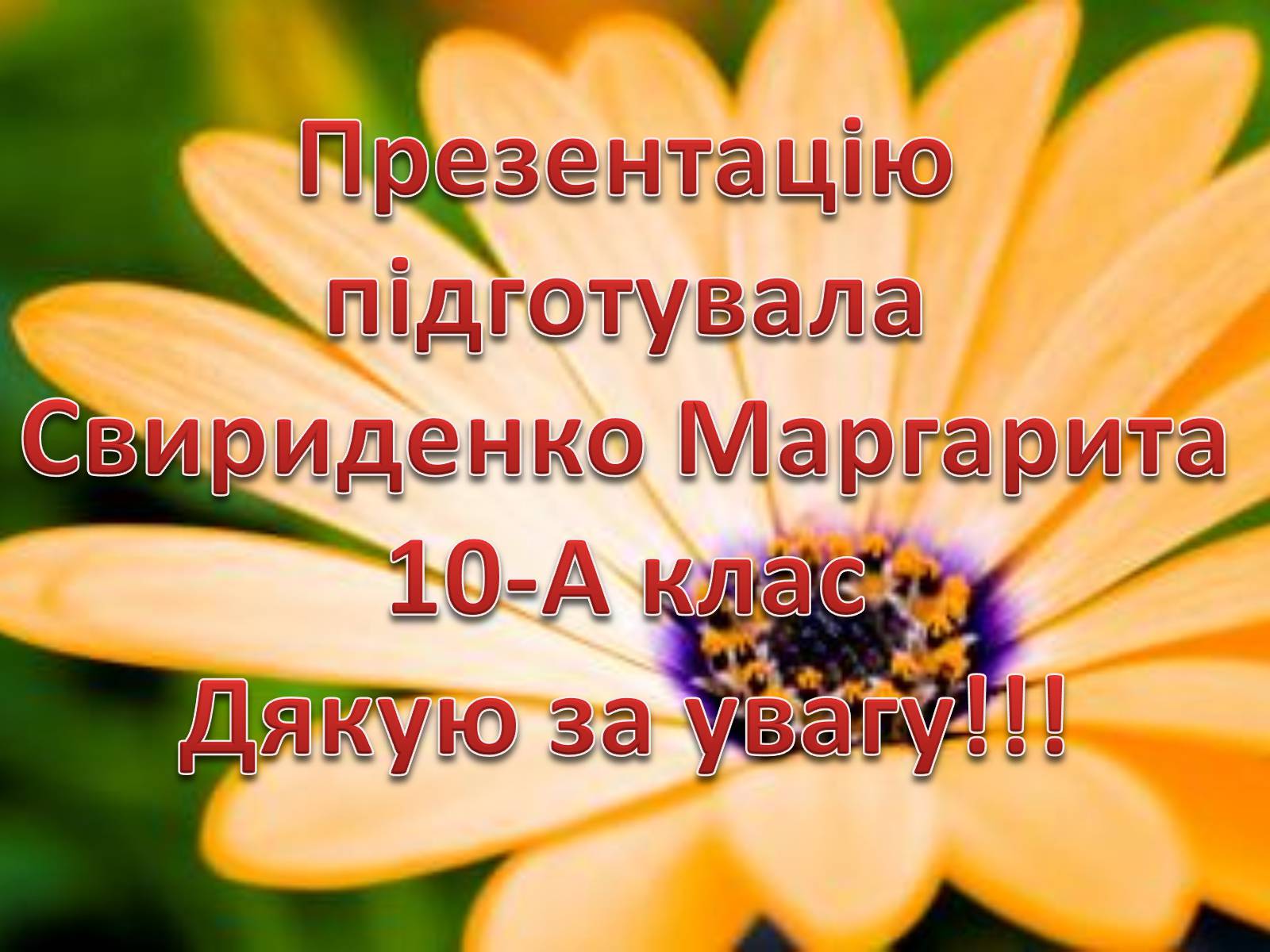 Презентація на тему «Японія.Одна з найбільш технологічно розвинутих країн світу» - Слайд #19