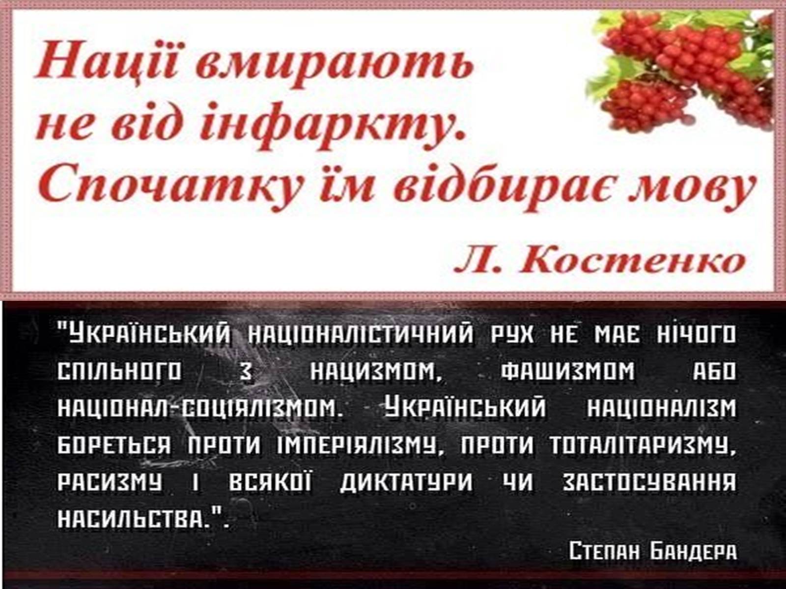 Презентація на тему «Націоналізм» (варіант 2) - Слайд #9