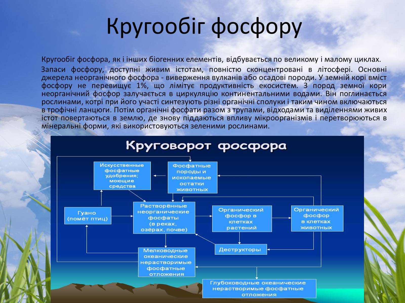 Презентація на тему «Колообіг речовин у природі» (варіант 3) - Слайд #8