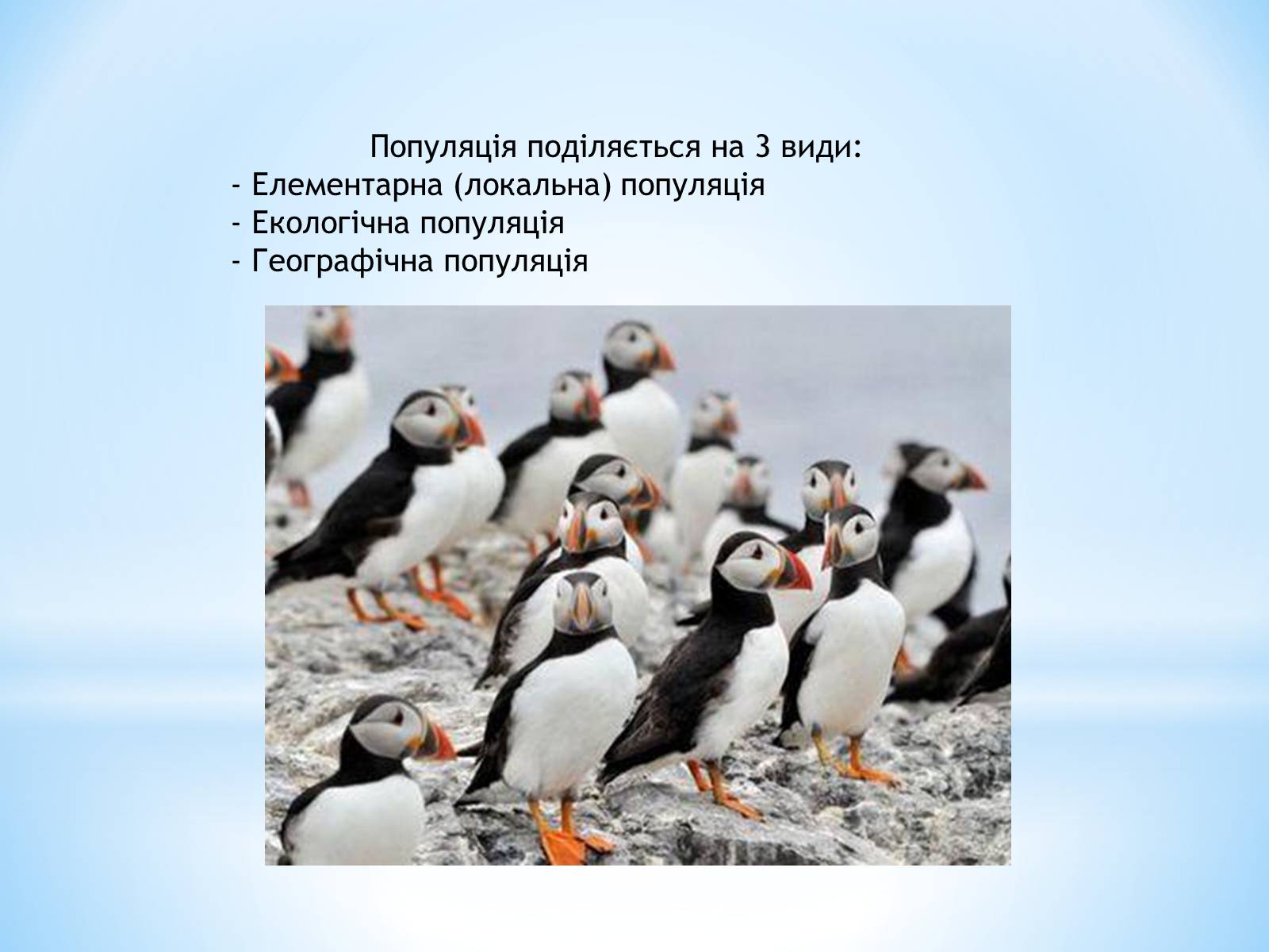 Презентація на тему «Види популяції» - Слайд #4