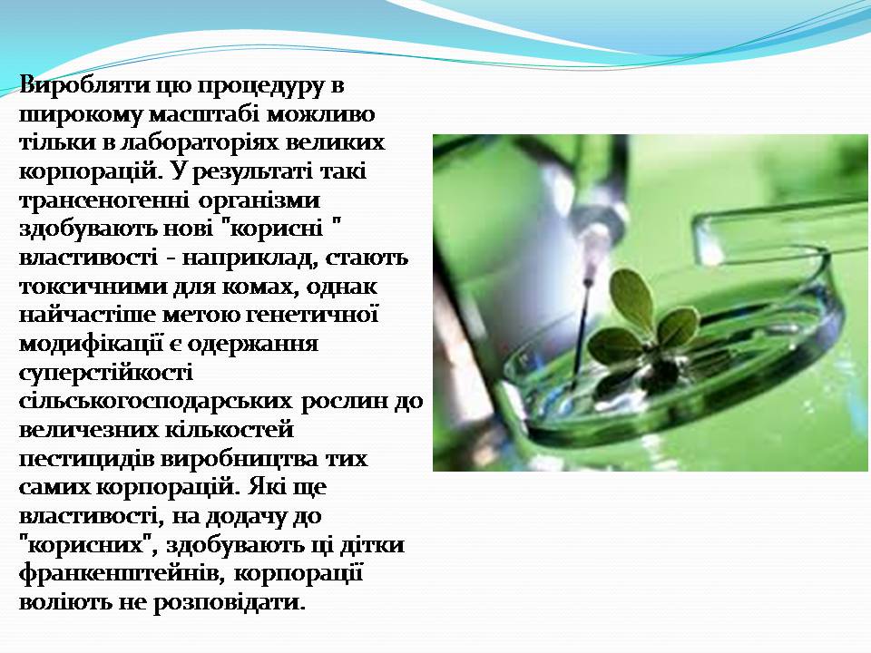 Презентація на тему «Історія появи і розвитку ГМО» - Слайд #10