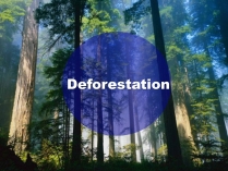 Презентація на тему «Deforestation» (варіант 1)