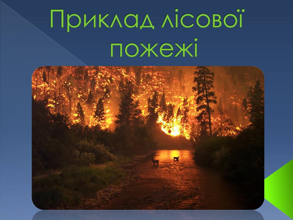 Презентація на тему «Екологічні проблеми» (варіант 14) - Слайд #12