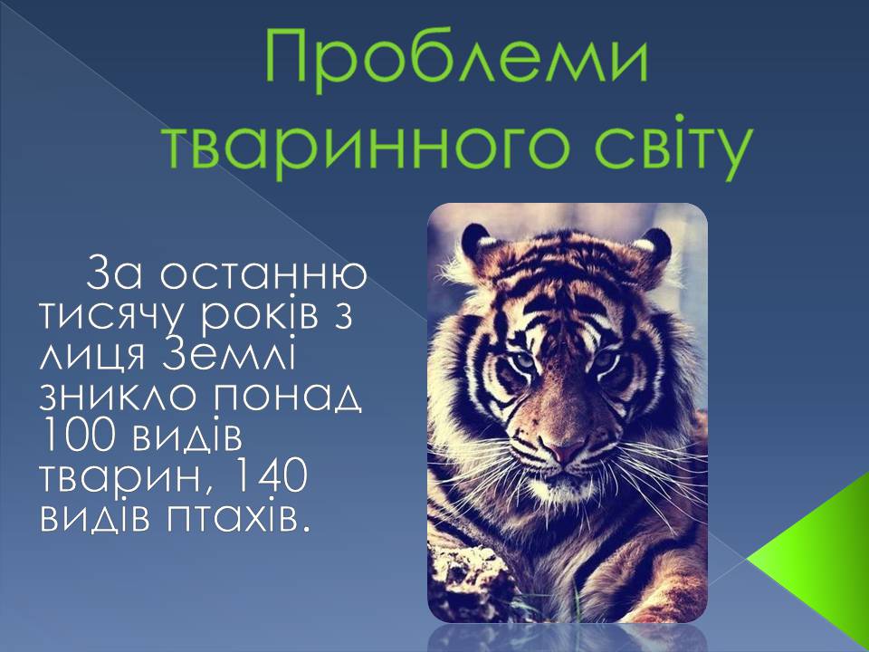 Презентація на тему «Екологічні проблеми» (варіант 14) - Слайд #13