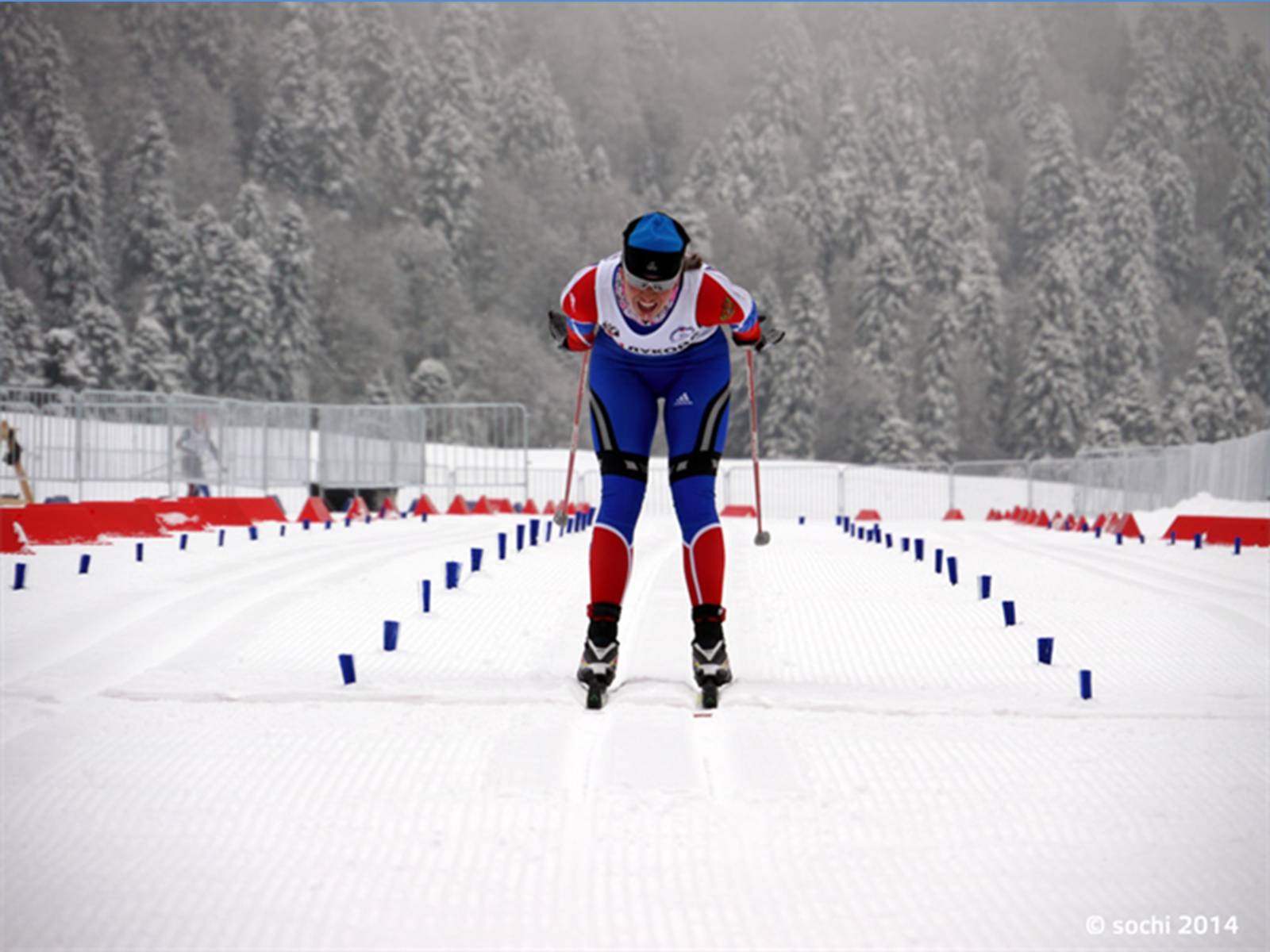Биатлон зимний вид спорта впр 5. Олимпийские игры Сочи лыжные гонки. Олимпийская трасса Сочи лыжная трасса.