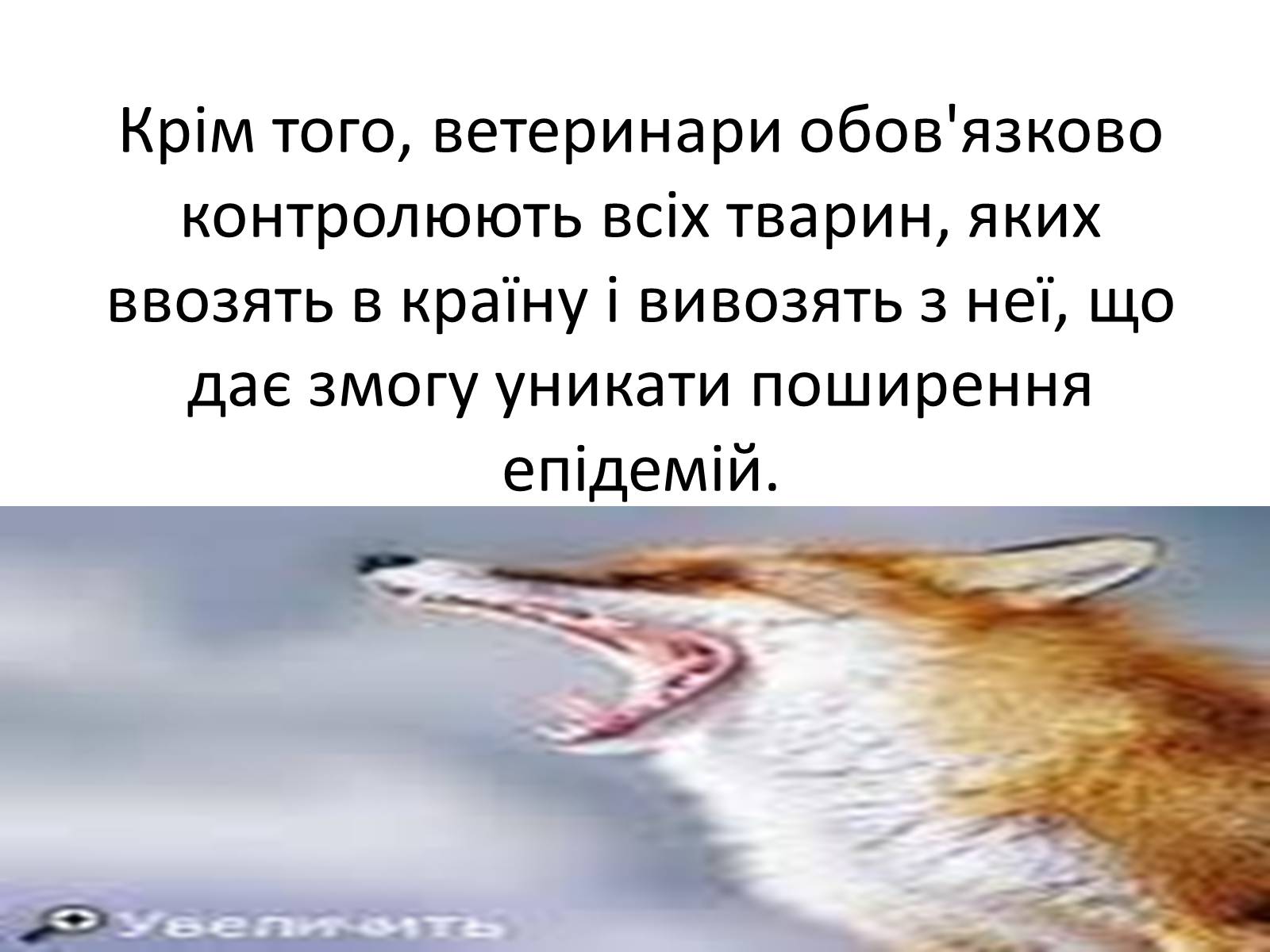 Презентація на тему «Ветлікарі потрібні Україні» - Слайд #16