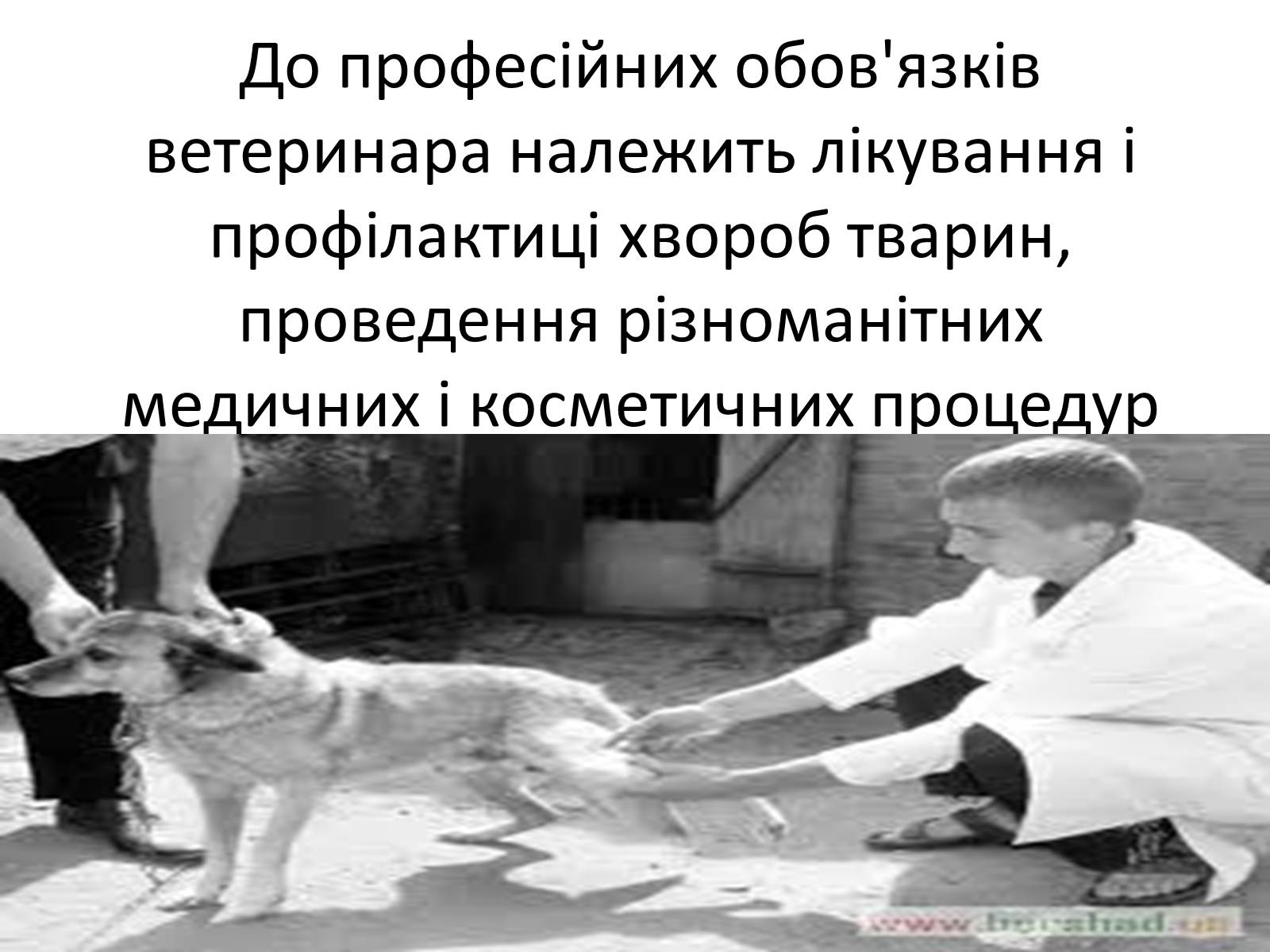 Презентація на тему «Ветлікарі потрібні Україні» - Слайд #18