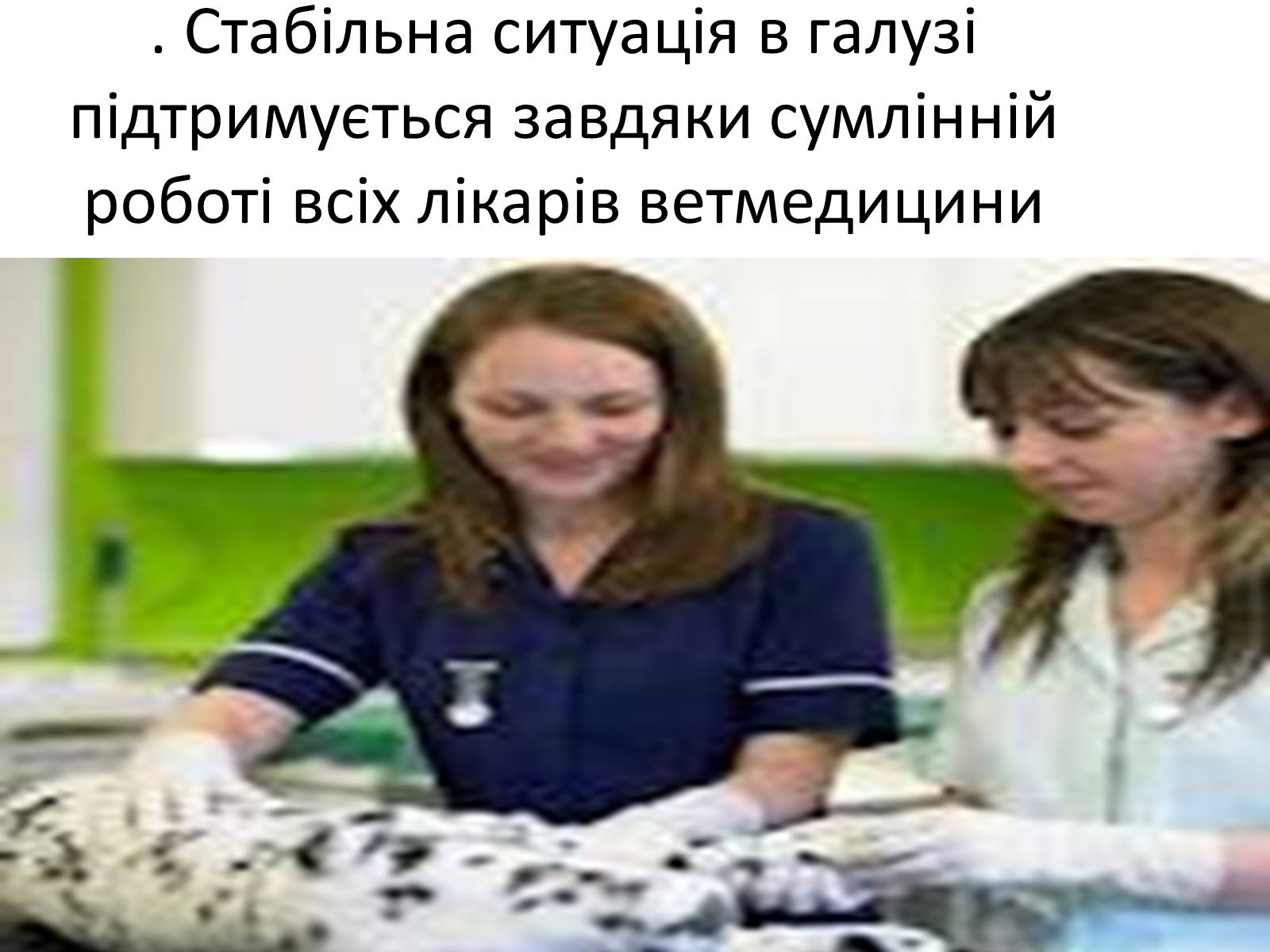 Презентація на тему «Ветлікарі потрібні Україні» - Слайд #21