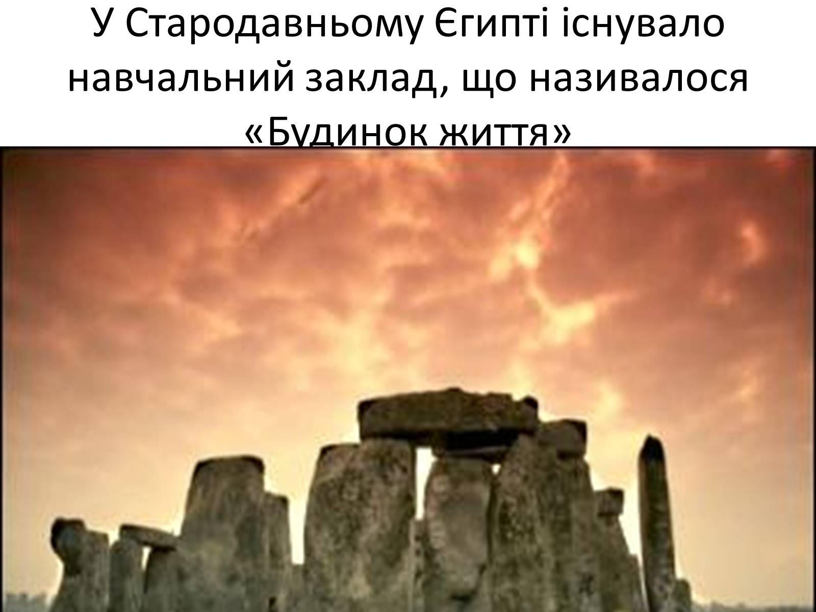 Презентація на тему «Ветлікарі потрібні Україні» - Слайд #4