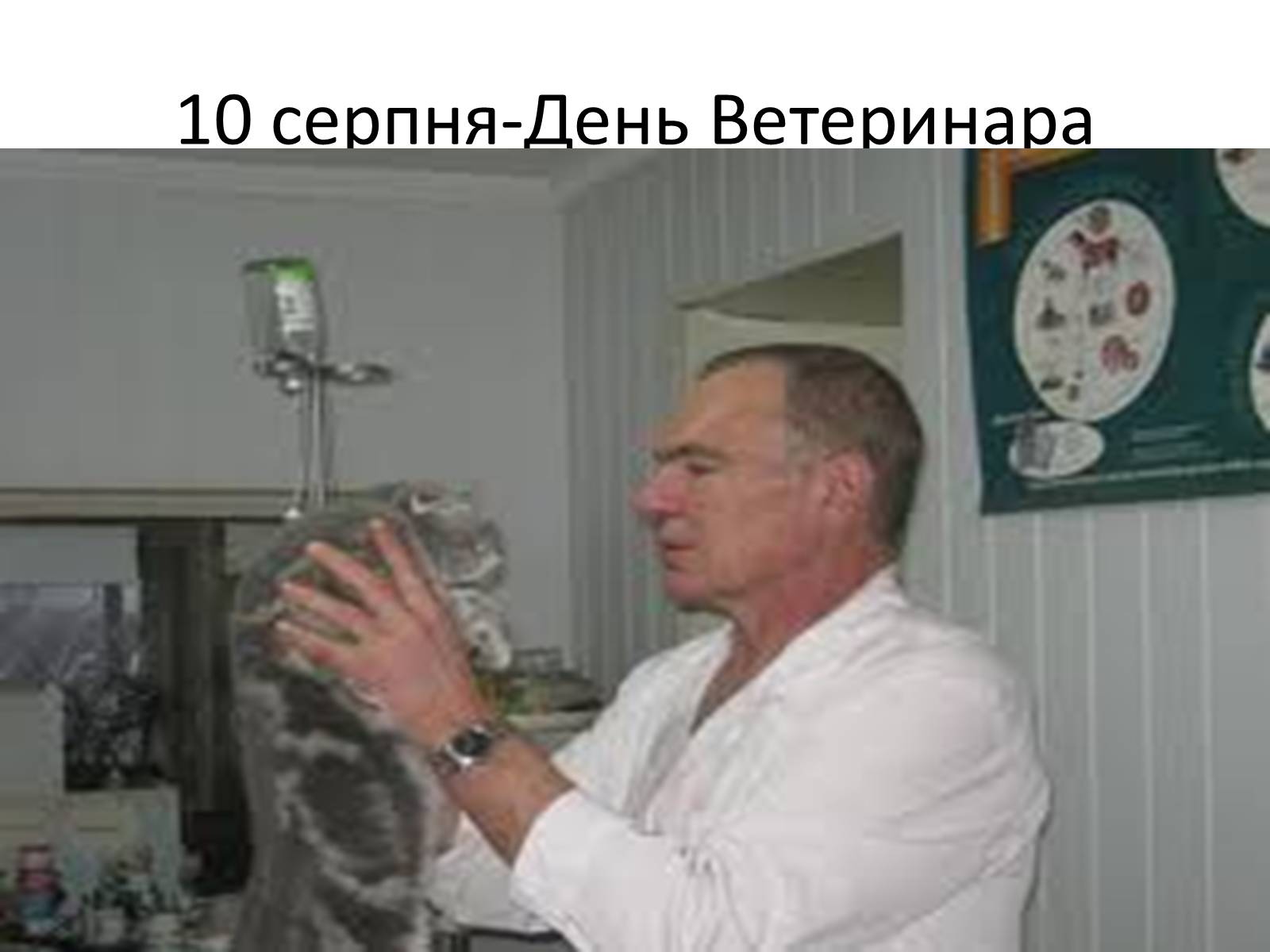 Презентація на тему «Ветлікарі потрібні Україні» - Слайд #41