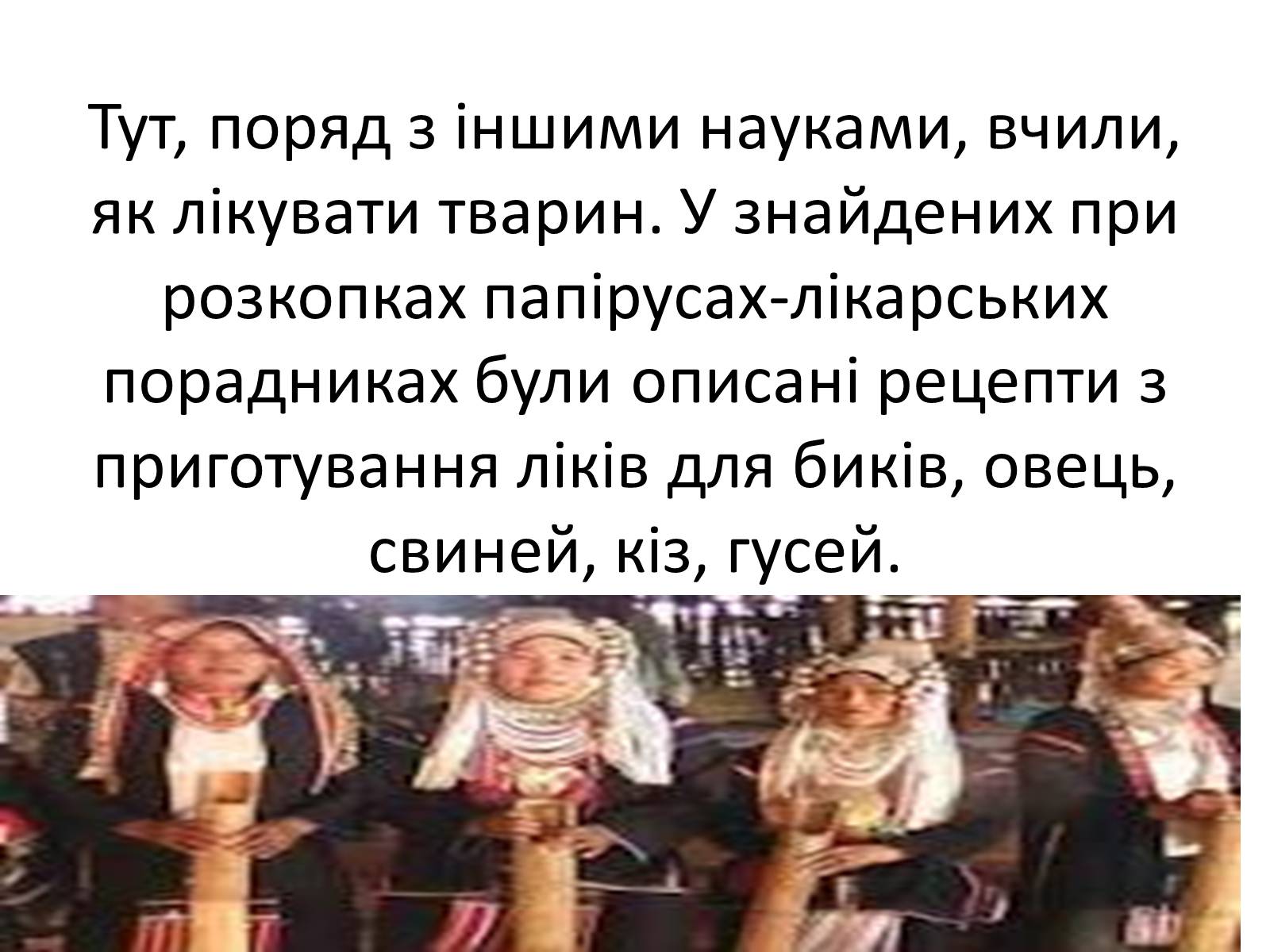 Презентація на тему «Ветлікарі потрібні Україні» - Слайд #5