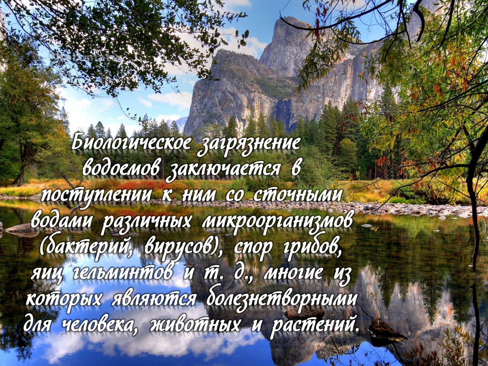 Презентація на тему «Деградация гидросферы» - Слайд #14