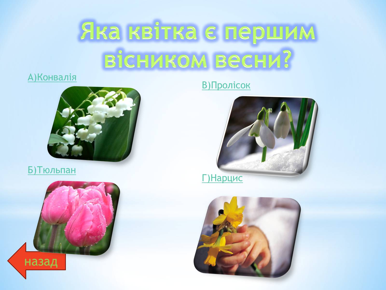Презентація на тему «Різноманітний сад природи» - Слайд #21