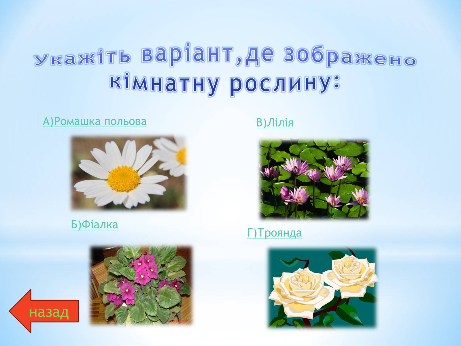 Презентація на тему «Різноманітний сад природи» - Слайд #3