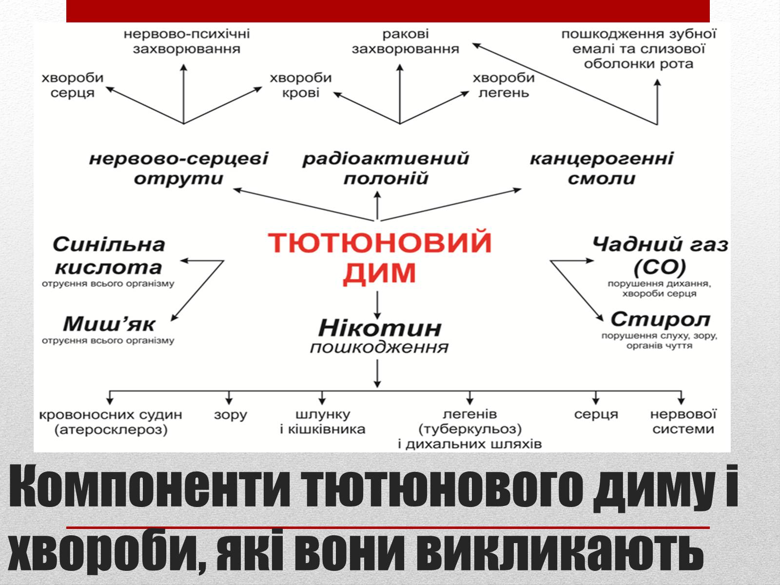 Презентація на тему «Про шкоду тютюнокуріння» - Слайд #6