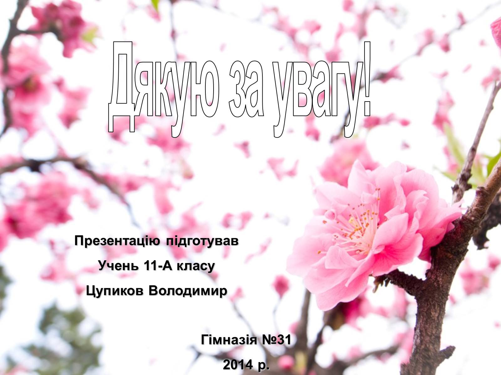 Презентація на тему «Садово-паркове мистецтво Японії» (варіант 1) - Слайд #9