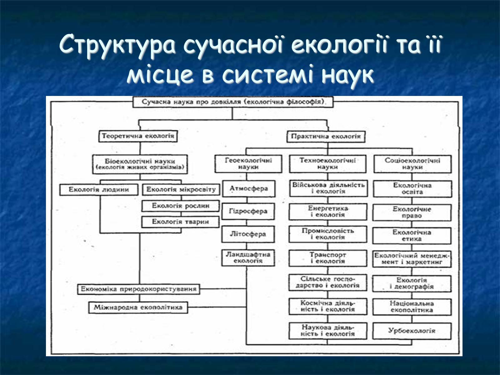 Презентація на тему «Екологія як наука про довкілля» (варіант 1) - Слайд #9