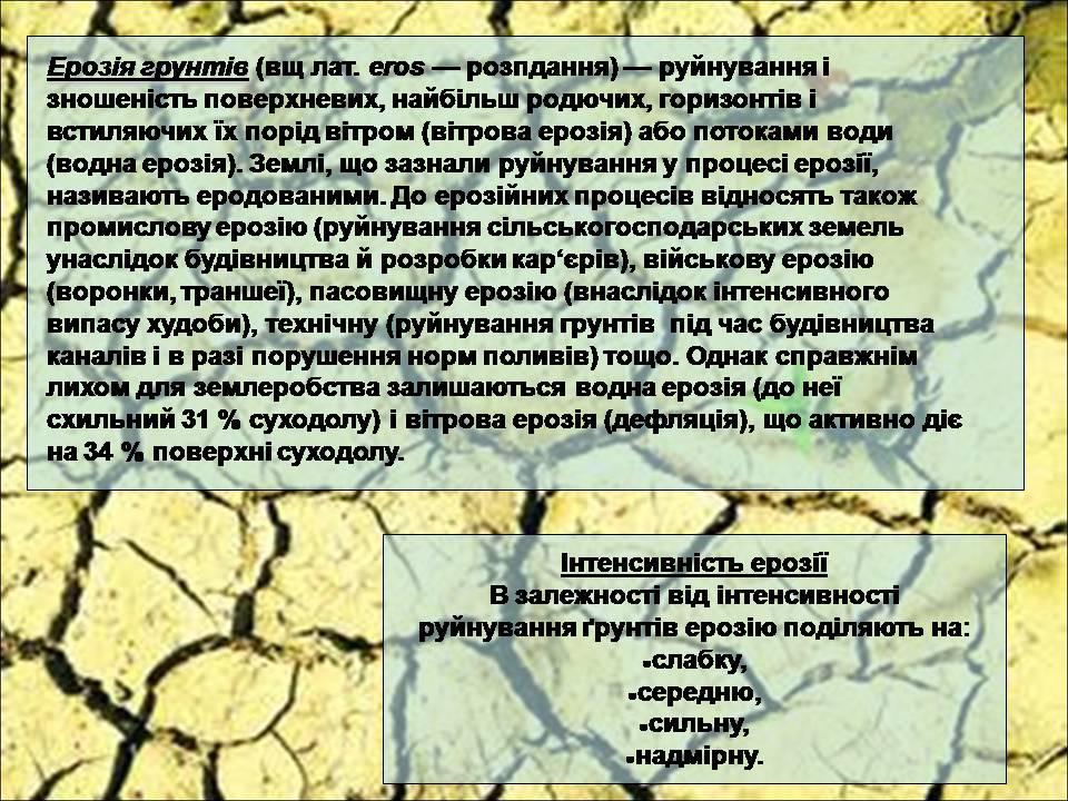 Презентація на тему «Деградація природи» (варіант 4) - Слайд #13