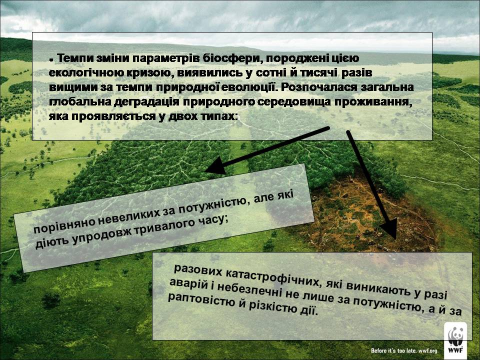 Презентація на тему «Деградація природи» (варіант 4) - Слайд #5