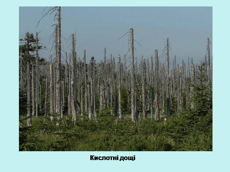 Презентація на тему «Деградація природи» (варіант 4) - Слайд #8