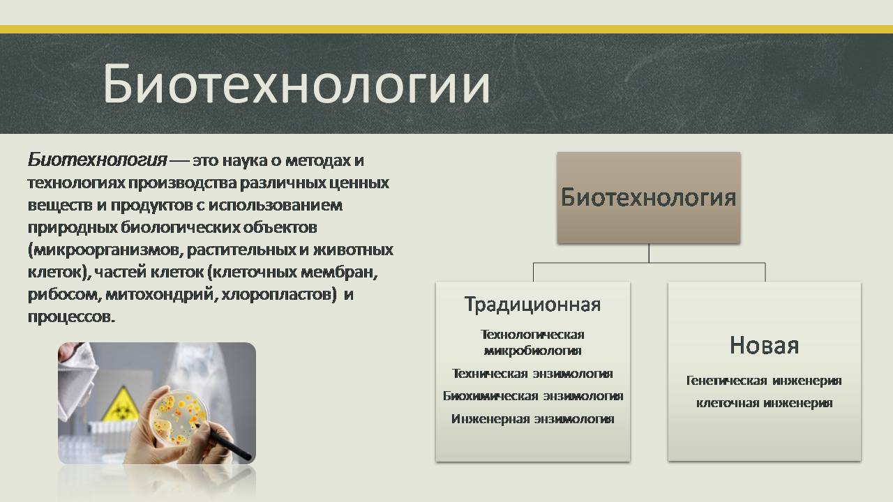 Презентація на тему «Современные направления биотехнологий» - Слайд #2