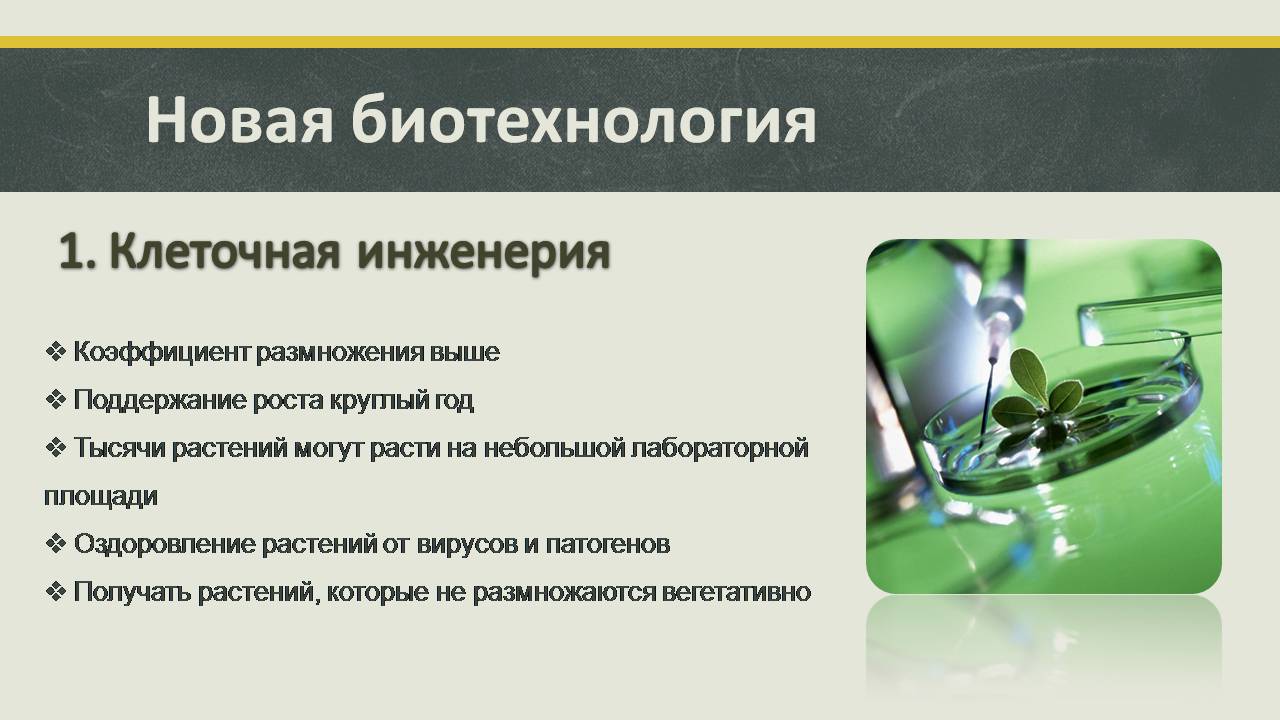 Методы биотехнологии. Биотехнология презентация. Презентация на тему биотехнология. Современные направления биотехнологии. Биоинженерия презентация.