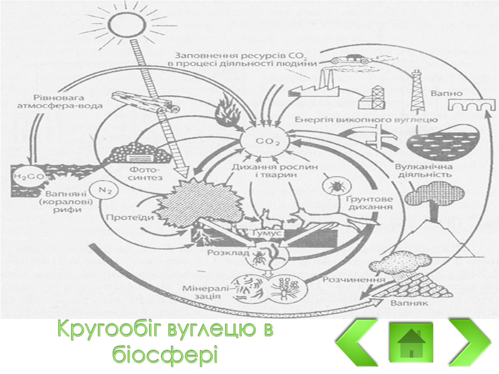 Презентація на тему «Колоо?біг речовин і потоки енергії як основні системоутворювальні чинники» - Слайд #4