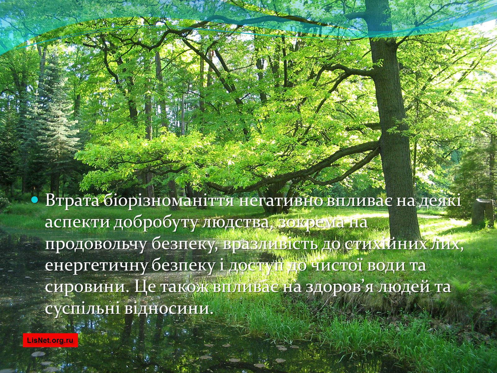 Презентація на тему «Екосистемне різноманіття» - Слайд #12